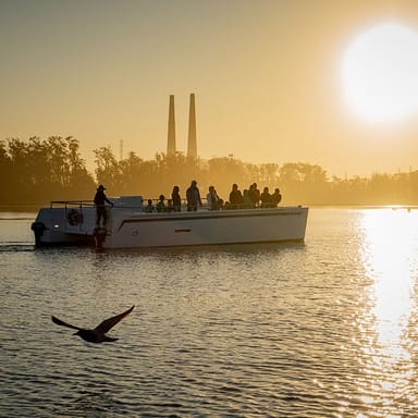 Elkhorn Slough Electric Catamaran Tour