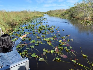 Everglades Airboat Ride and Wildlife Demonstration