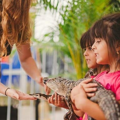 Everglades Airboat Experience with South Beach Bike Rental