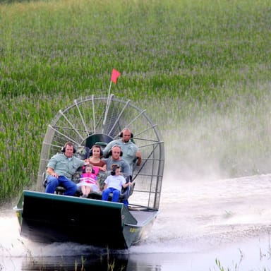 Half-Day Everglades Adventure Tour