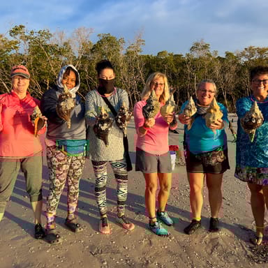 Ten Thousand Islands Shell Hunting Tour