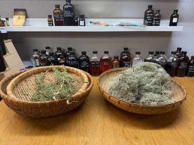 Create Your Own Seasonal Perfume Using Nature-Based Botanicals