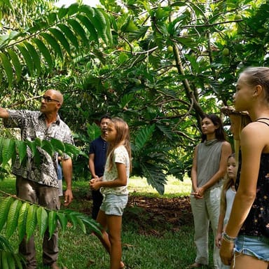 Regenerative Farming Experience