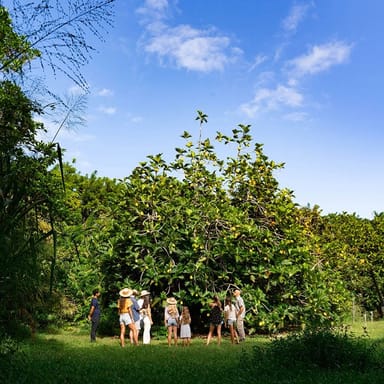 Regenerative Farming Experience