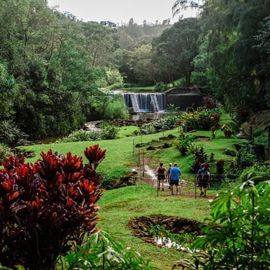 Regenerative Farming Experience