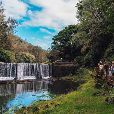 Regenerative Farming Experience