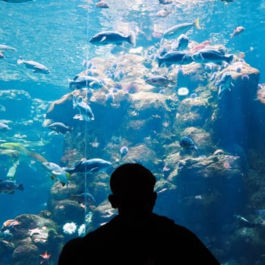Guided Tour of Pacific Coast Highway