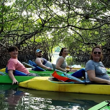 Mangrove Island Glass Bottom Kayak Tour