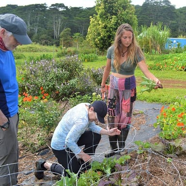 Farm to Table Cooking Class