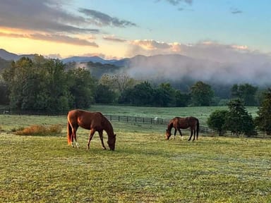 Scenic Horseback Ride for Two in Shenandoah Valley