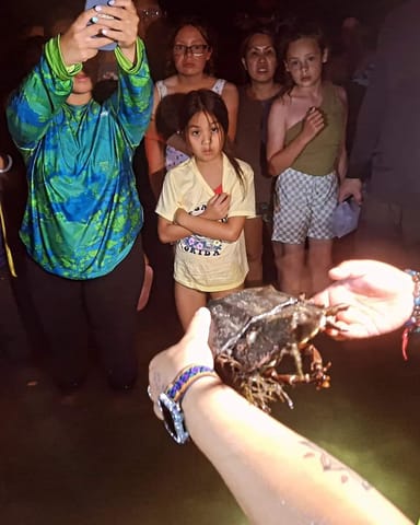 Bioluminescent Comb Jelly Kayak Tour - Indian Lagoon