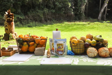 Exotic Fruit Tasting Tour in Big Island