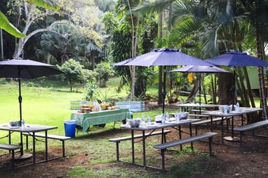 Exotic Fruit Tasting Tour in Big Island