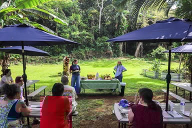 Exotic Fruit Tasting Tour in Big Island