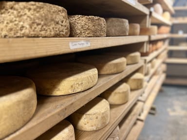 Formaggio Kitchen Cheese Cave Tour, Tasting, and Shopping Experience