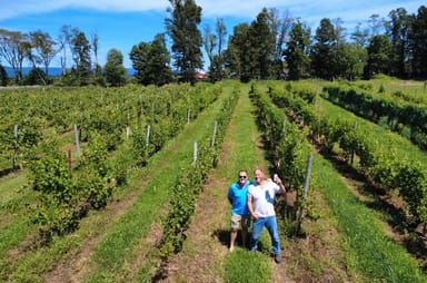 Christopher Jacobs Winery Tour, Tasting, and Lunch Experience for Two