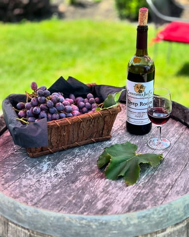 Christopher Jacobs Winery Tour, Tasting, and Lunch Experience for Two