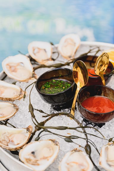 Oyster Shucking Class and Drinks at Festivál Cafe