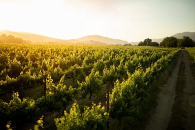 Eco Terreno ‘Lyon Pride’ Wine Tasting for Two in San Francisco