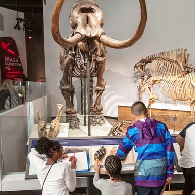 Field Museum of Natural History Early Access VIP Admission