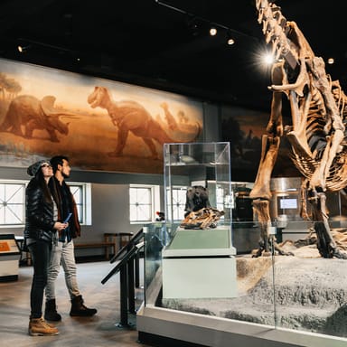 Field Museum of Natural History Early Access VIP Admission