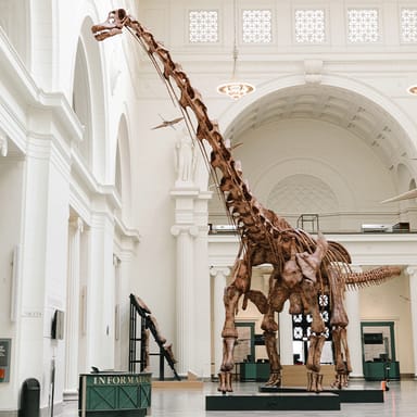 Field Museum of Natural History Early Access VIP Admission