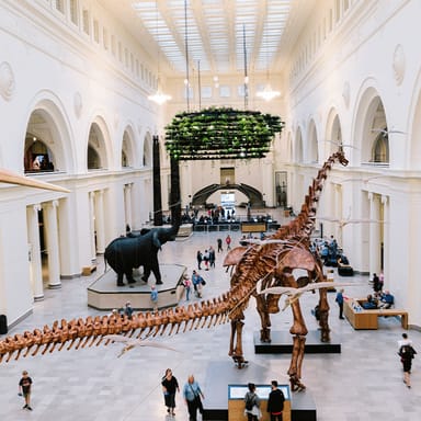 Field Museum of Natural History Early Access VIP Admission