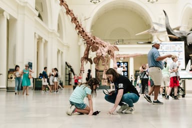 Go City | Chicago Essentials Pass - 3 Attractions