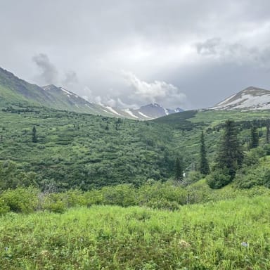 Chugach State Park Nature Walk