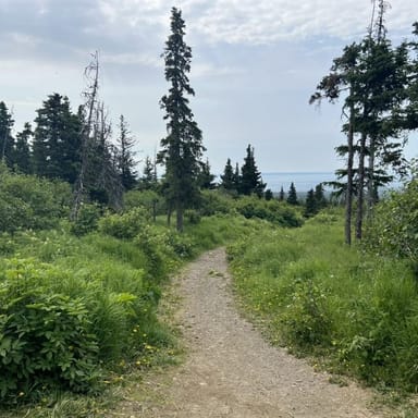 Chugach State Park Nature Walk