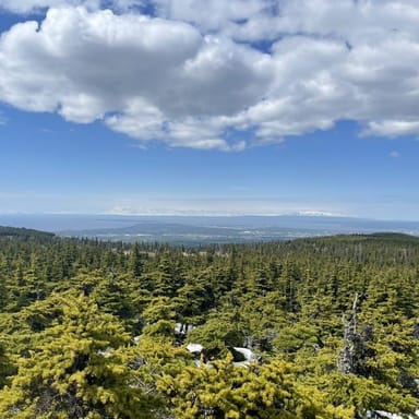 Chugach State Park Nature Walk