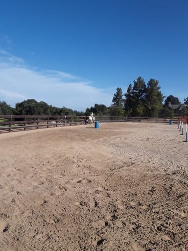 Horseback Riding Lessons at Bluewater Ranch