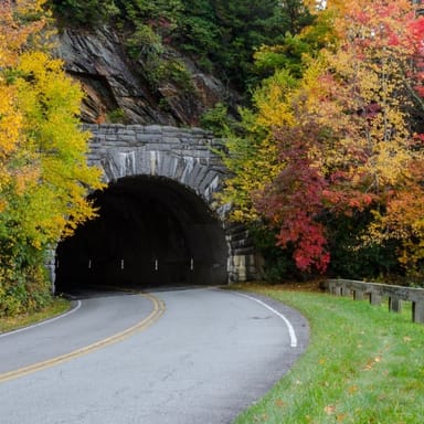Full-Day Fall Foliage Driving Tour