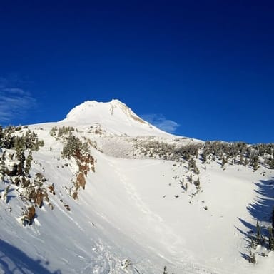 Full-Day Columbia Gorge Waterfalls and Mt. Hood Adventure