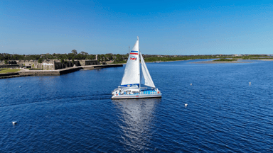 Dolphin Watch and Historical Harbor Catamaran Tour with Drinks