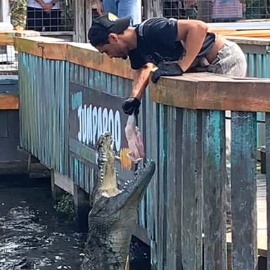Gatorland Wildlife Park Adventure