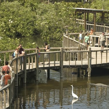 Gatorland Wildlife Park Adventure