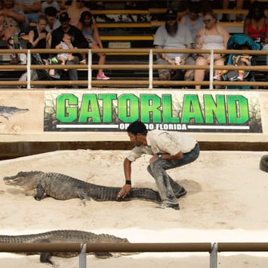 Gatorland Wildlife Park Adventure