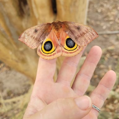 Rose Therapeutic Farm Visit