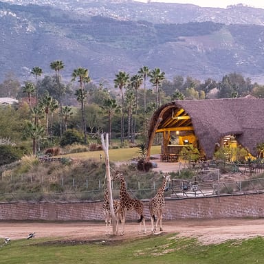 San Diego Zoo Safari Park® Admission