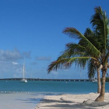 Key West Adventure with Enchanting Glass Bottom Boat Ride