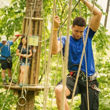 Treetop Adventure with Go Ape