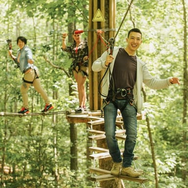 Treetop Adventure with Go Ape