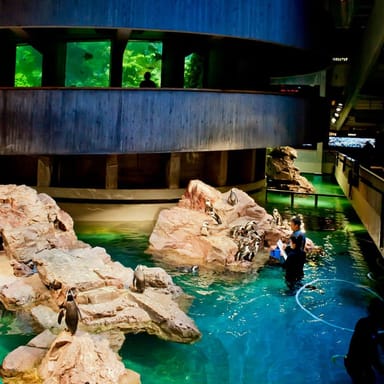 Go City | Boston Explorer Pass - 4 Attractions