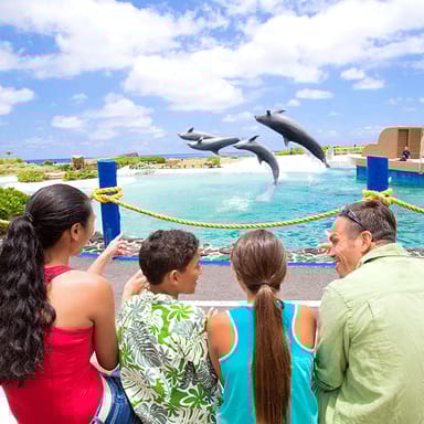 Go City | Oahu Explorer Pass - 3 Attractions