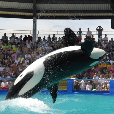 Go City | Miami Explorer Pass - 2 Attractions