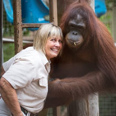 Go City | Miami Explorer Pass - 4 Attractions