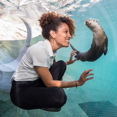 Go City | Miami Explorer Pass - 3 Attractions