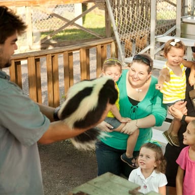 Go City | Miami All-Inclusive Pass - 2 Days