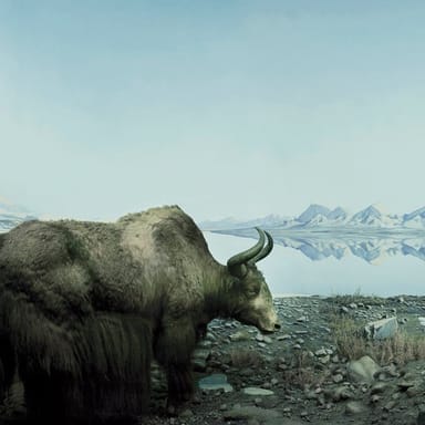 Go City | Philadelphia Explorer Pass - 3 Attractions